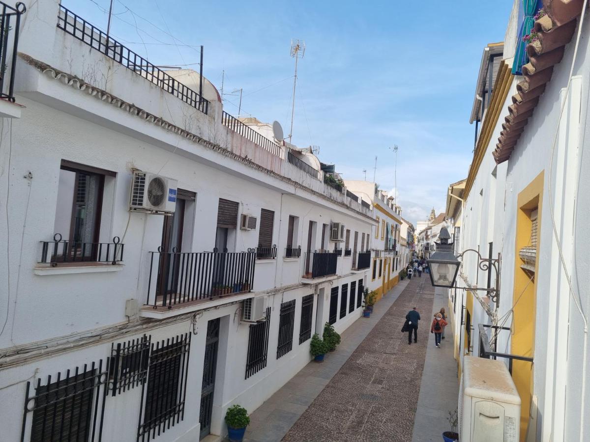 El Alcazar Viejo Appartement